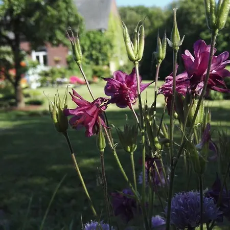 דירה Romantischer Winkel *