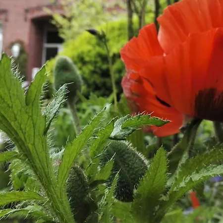 דירה Romantischer Winkel *