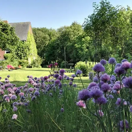 Romantischer Winkel * נויהרלינגרזיל