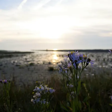 דירה Romantischer Winkel *