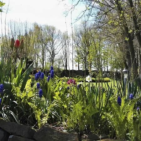 Romantischer Winkel נויהרלינגרזיל