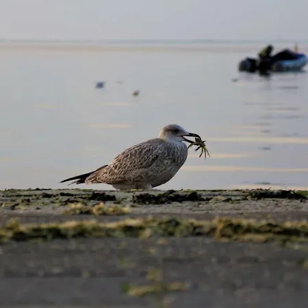 Romantischer Winkel דירה *