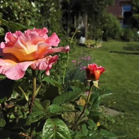 Romantischer Winkel Neuharlingersiel