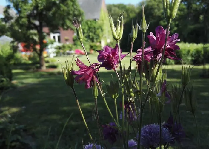 Lejlighed Romantischer Winkel *