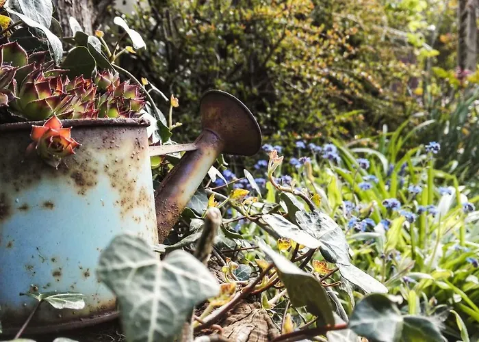 Romantischer Winkel * Neuharlingersiel