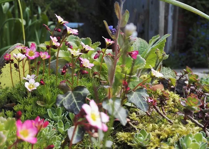 Romantischer Winkel Lejlighed Neuharlingersiel