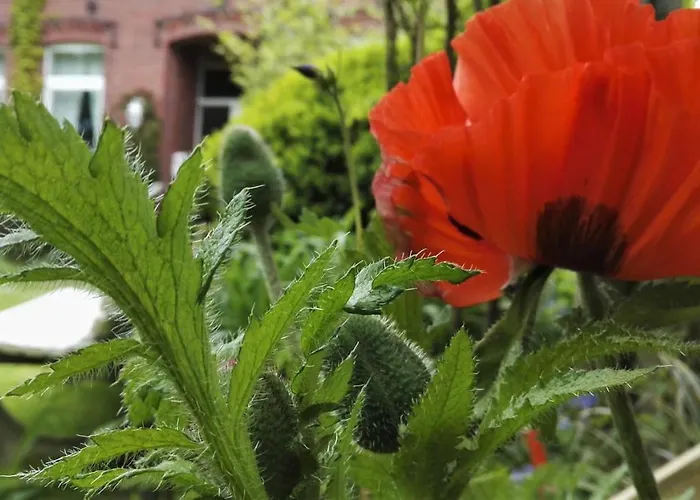 Lejlighed Romantischer Winkel *