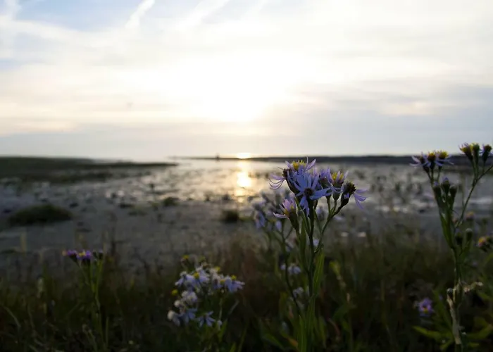 Lejlighed Romantischer Winkel *