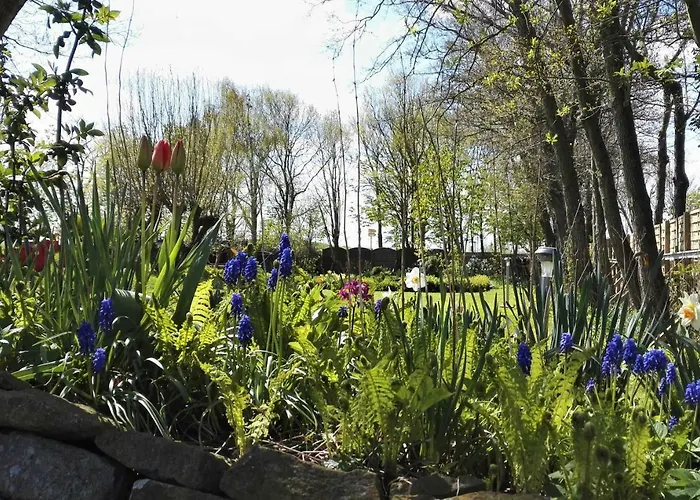 Romantischer Winkel Neuharlingersiel