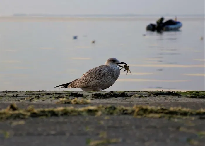 Romantischer Winkel Lejlighed *