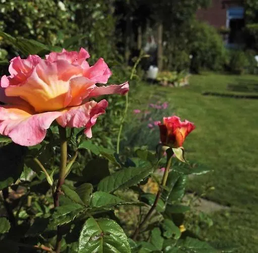Romantischer Winkel Neuharlingersiel